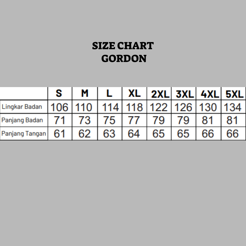 Shirt Long Sleeve GORDON LT GREY C066