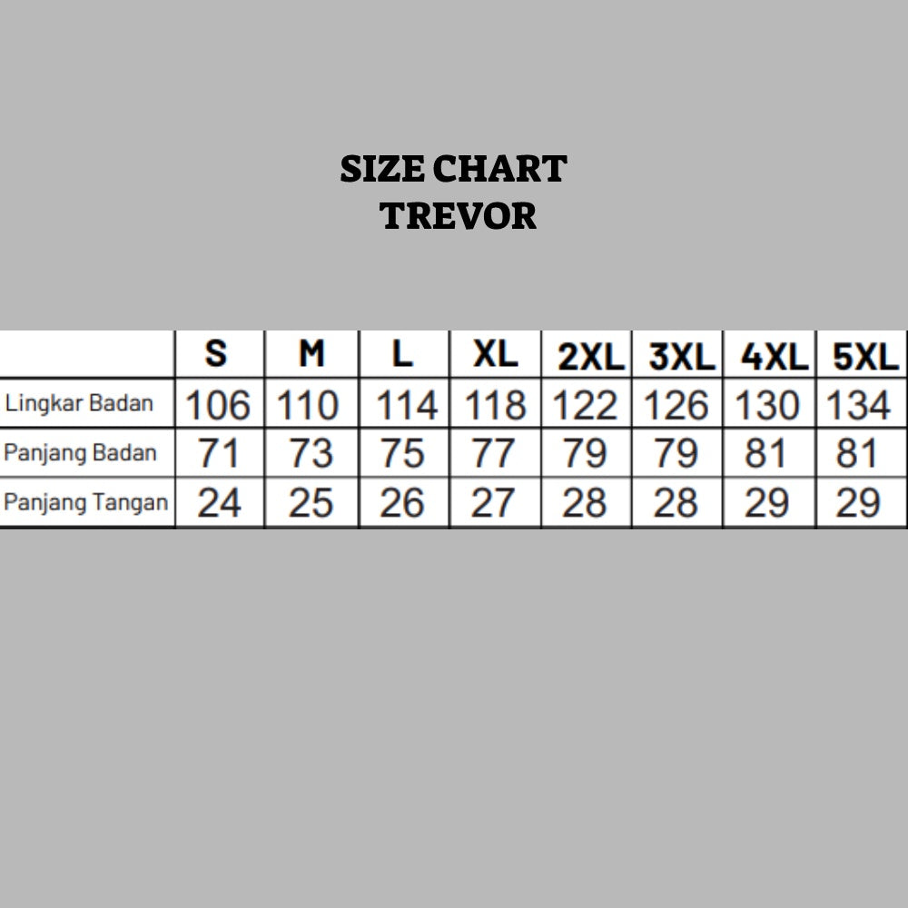 Shirt Trevor C008 Grey